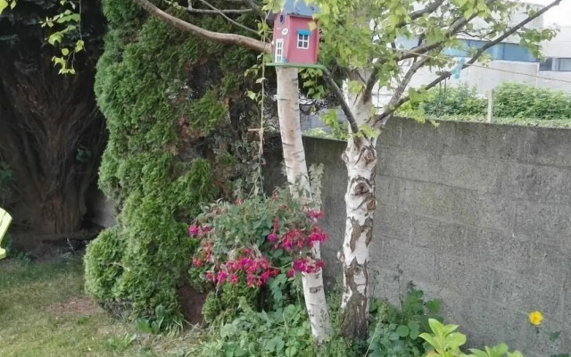 The Vee B&B