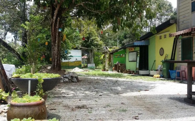 Titi Teras Village House