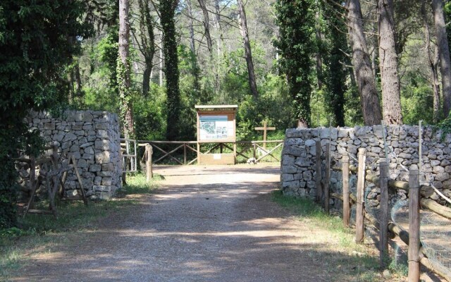 Casale Dei Pini - Nature Room