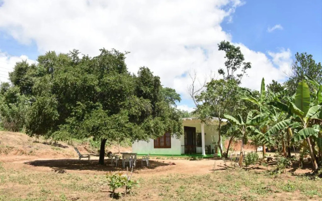Sigiri Elephant View Guest