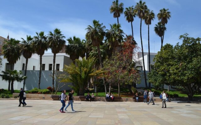 Homely Málaga Soho 520