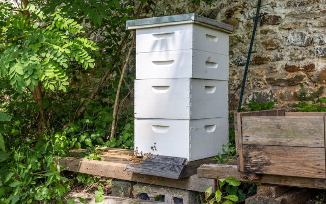 Bliss Point Farm and B&B