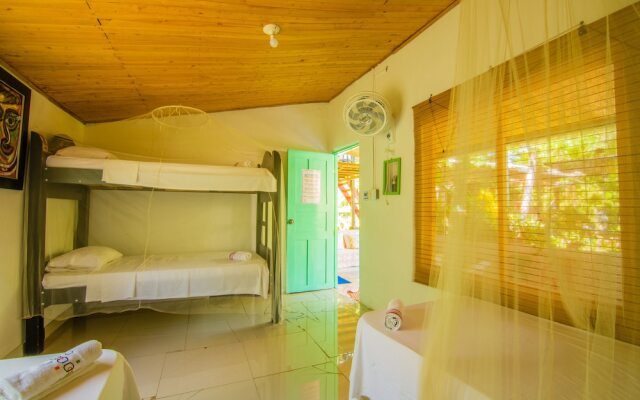 Eco Hotel Casa Lola - Hostel