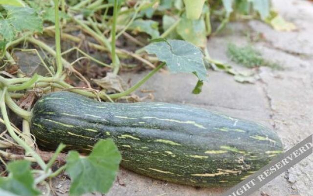 Shaoshan Huayazi Hotel