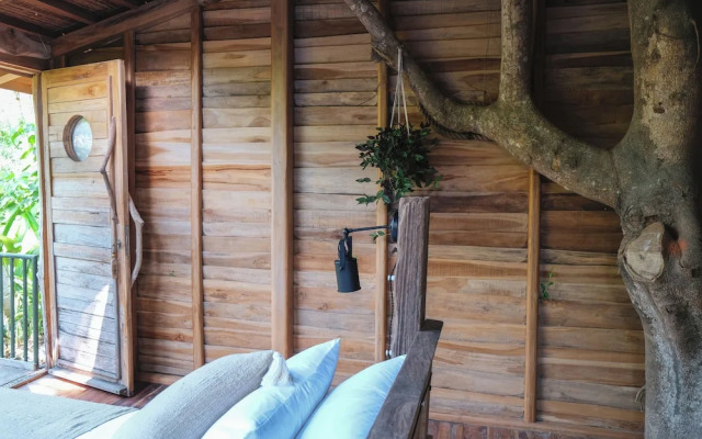 Roots Tree House