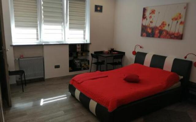 Apartament Salezego