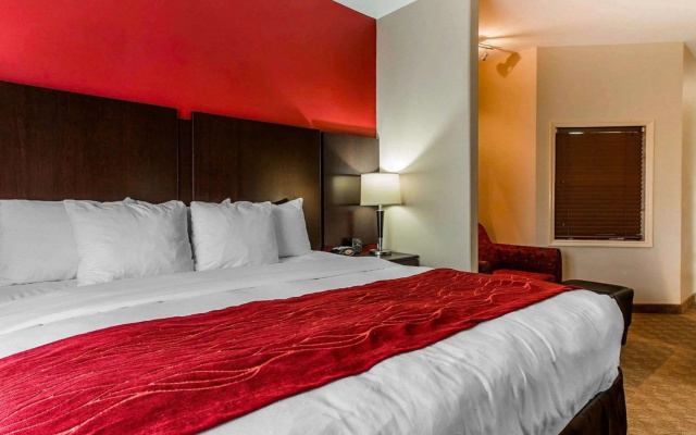 Comfort Suites Stockbridge Atlanta South