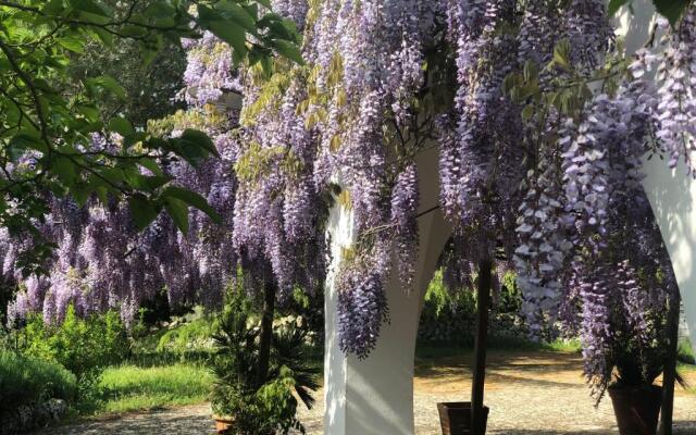 I Trulli della Natura Bio