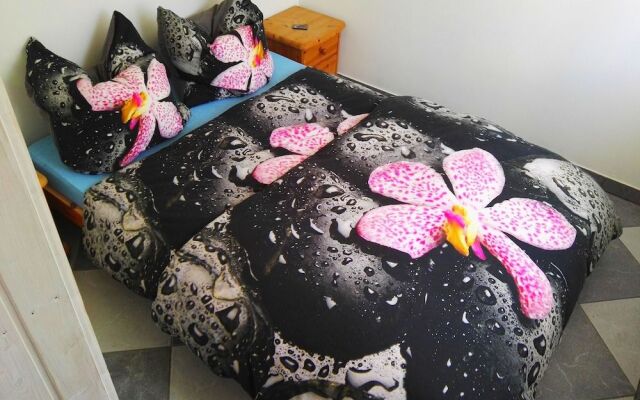 Ferienwohnungen nähe Badesee