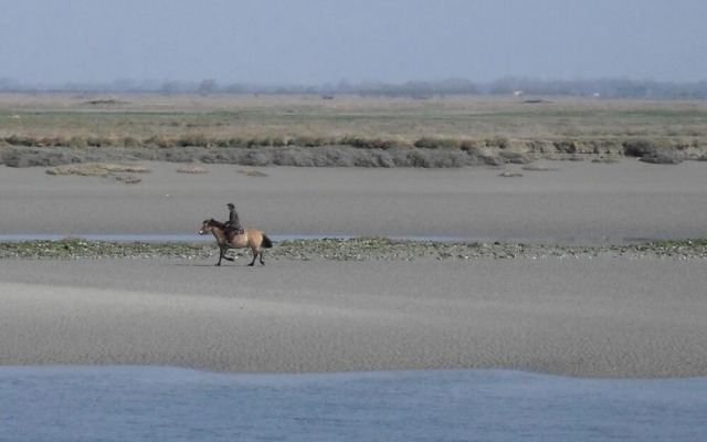 Madame Vacances Residence Les Terrasses de la Plage