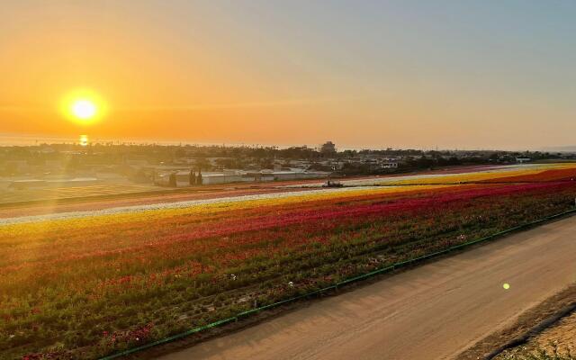 Holiday Inn Carlsbad by IHG