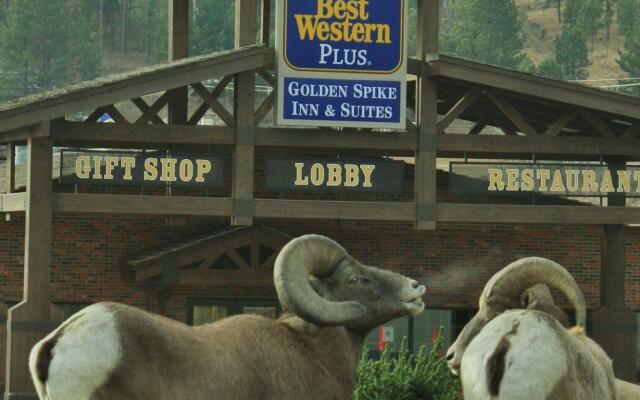 Best Western Golden Spike Inn & Suites