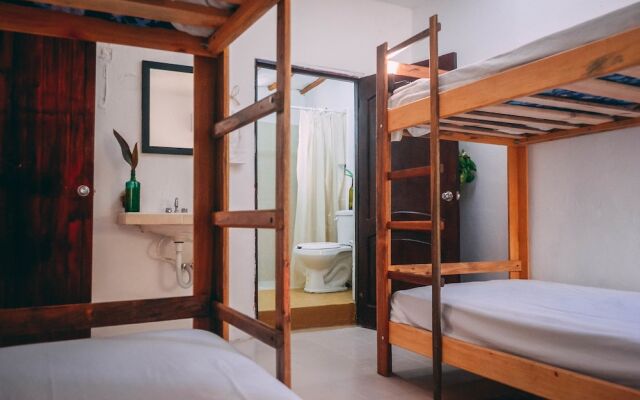 Malinche Hostel and Apartments