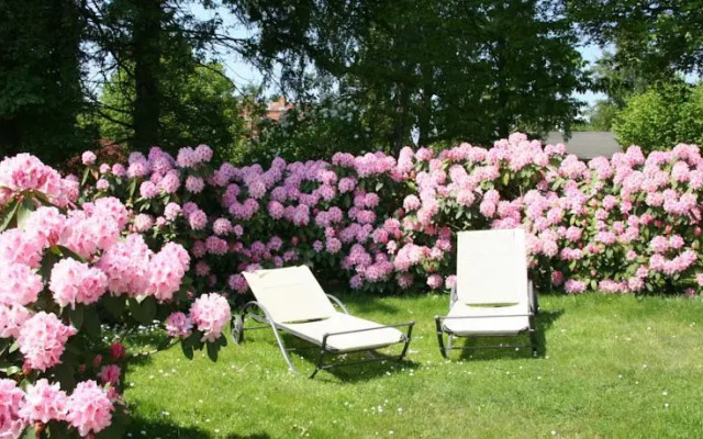 Pension Villa Edelweiß