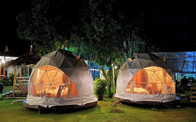 Lion Cafe Resort