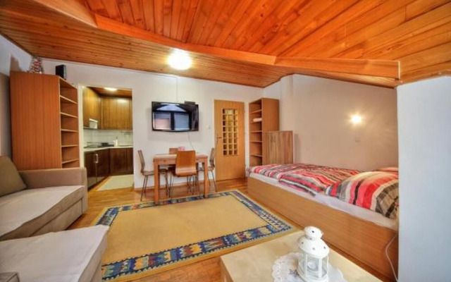 Apartment Viki