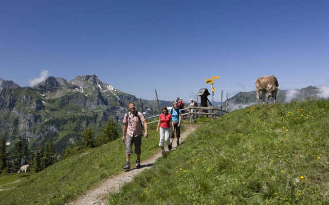 Berglodge Restaurant Ristis