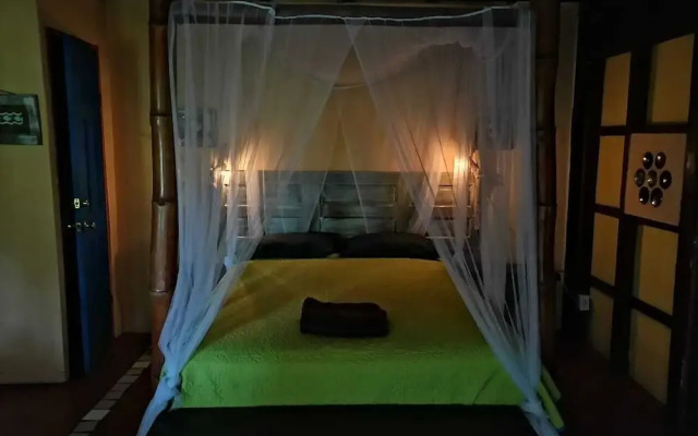 Mosana reef garden B&B