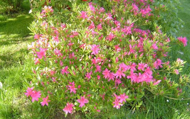 Gîte Paul et Rosalia