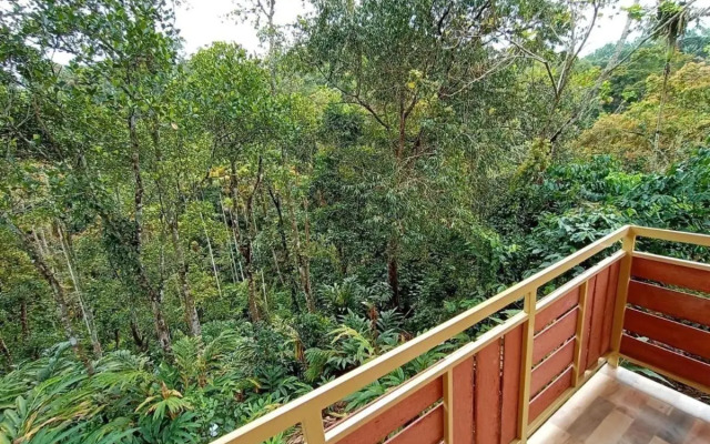Chalona Jungle Eco Stay