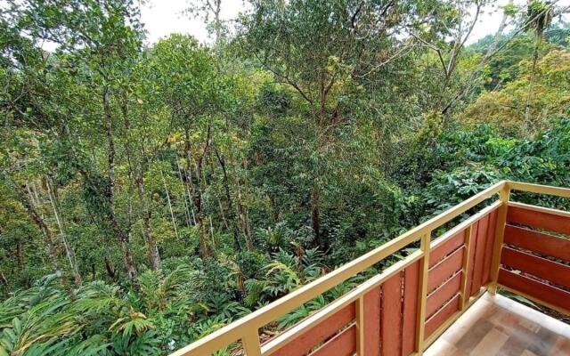 Chalona Jungle Eco Stay