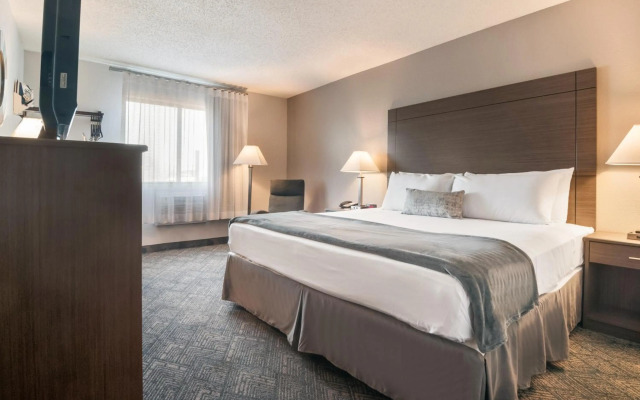 American Inn Suites Detroit Metro Airport
