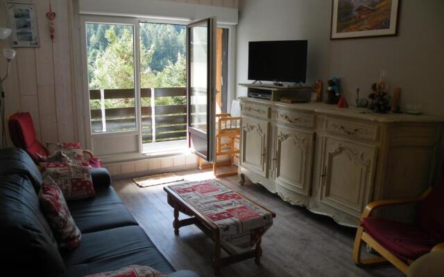 Appartement A La Bresse Hohneck