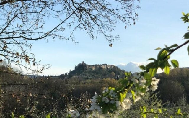 Agriturismo Fonteleccino