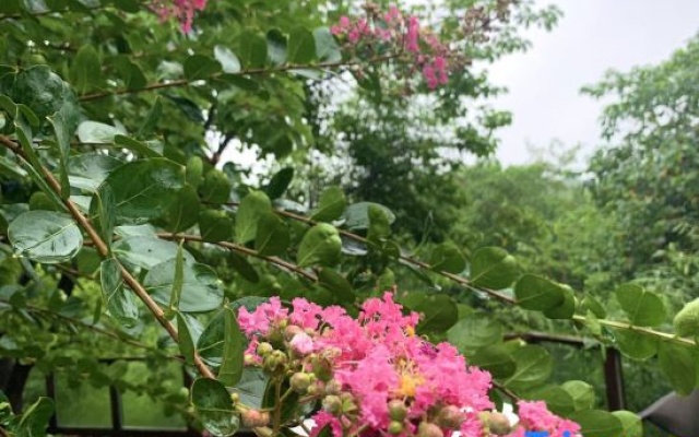 Floral Hotel · Luxury Designer Art Hotel (Nanjing Ginkgo Lake Shop) – Outside – Nanjing