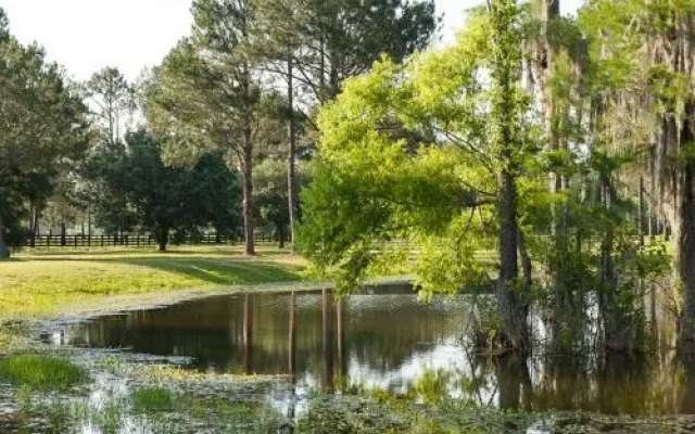 Live Oak Bed And Breakfast