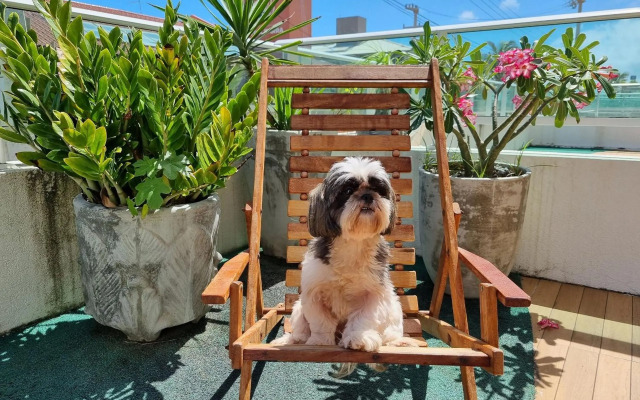 Areias do Mar | 2 Quartos Garden Familia A113