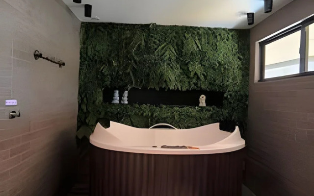 Studio Design 3 - Lions