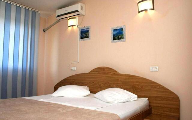 Pension Andronic