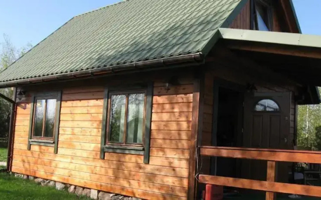 Przepiórka - Lisewo