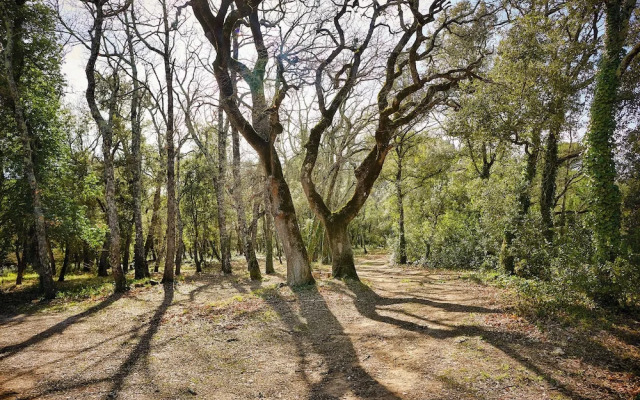 Ferme Saint-Georges en Provence