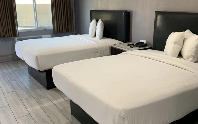 Willow Tree Inn  Suites