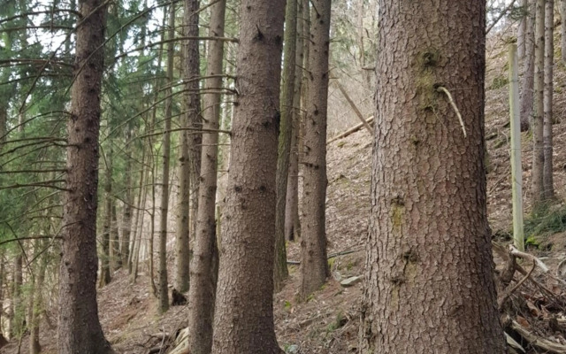 Prünsterhof Schenna