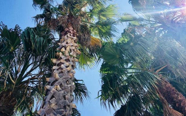 Villa Mediterranée Wellness