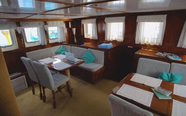 Dream Voyager
