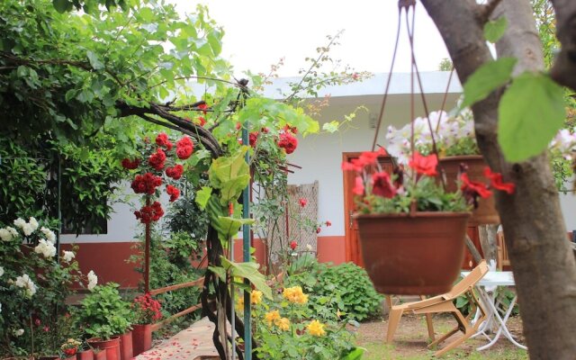 Rüya Pansiyon