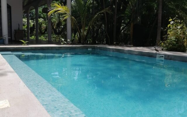 Casa Alice Surf Lodge - Hostel
