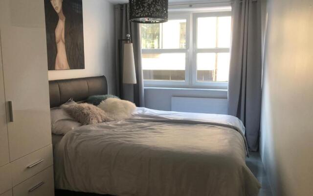 Luxurious 2 Bedroom Apartment Old City