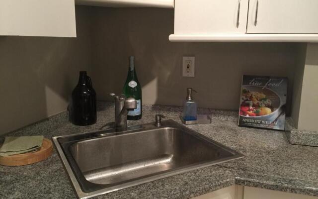 Downtown Big 1 Bedroom #20I