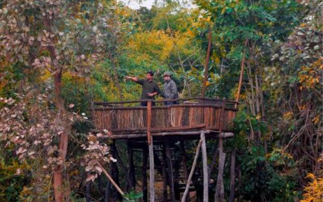 Tree House Hideway Bandhavgarh