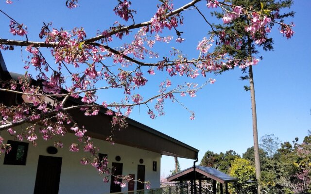 Long Yun Farm