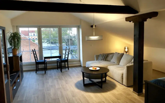 Ringelnatz & Lichtwer - Ferienwohnung Wurzen