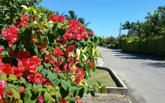 Sungazer - Holetown Apt & Beach Club on West Coast