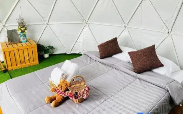 Phuchifa Sky Camp