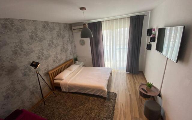 Oradea Gray Apartment