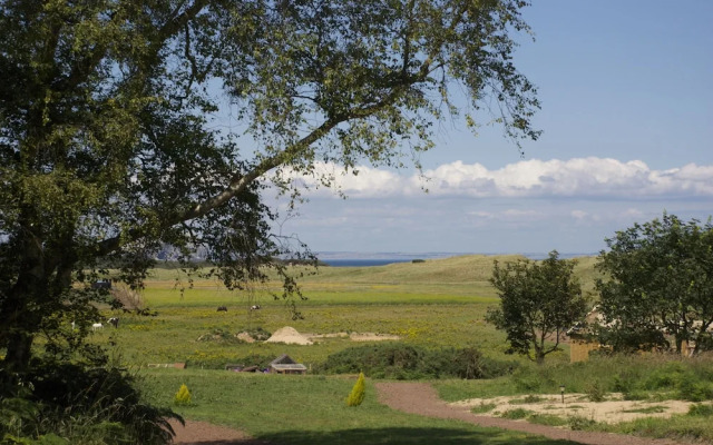 Harvest Moon Treehouse